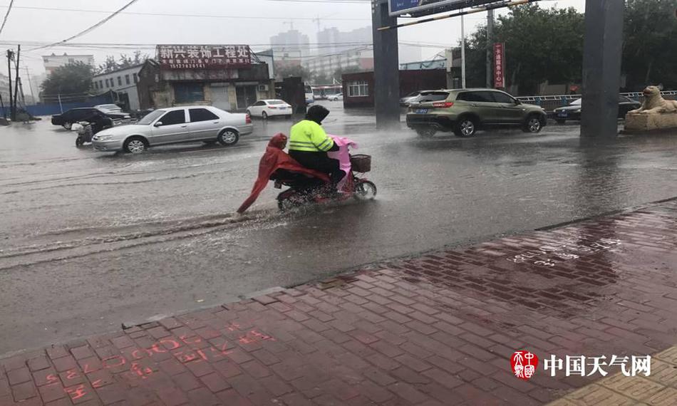 草逼软件