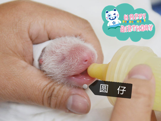 50秒免费黄色视频