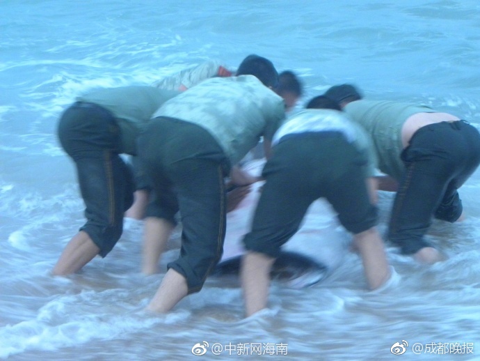 大阴蒂色情片