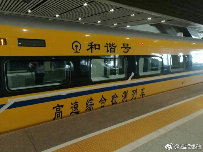 少妇走光无码视频Hd