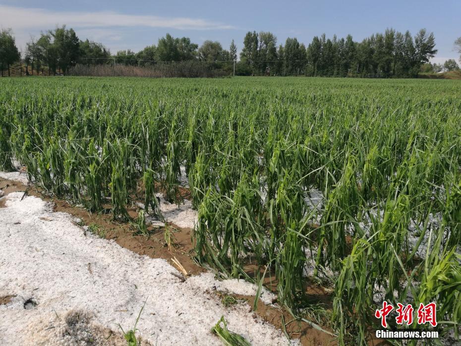 色情 网站 介绍