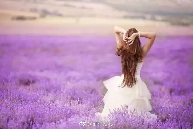 男女一起差差差30分钟免费