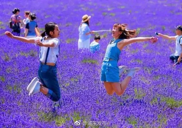 黄色视频那里有