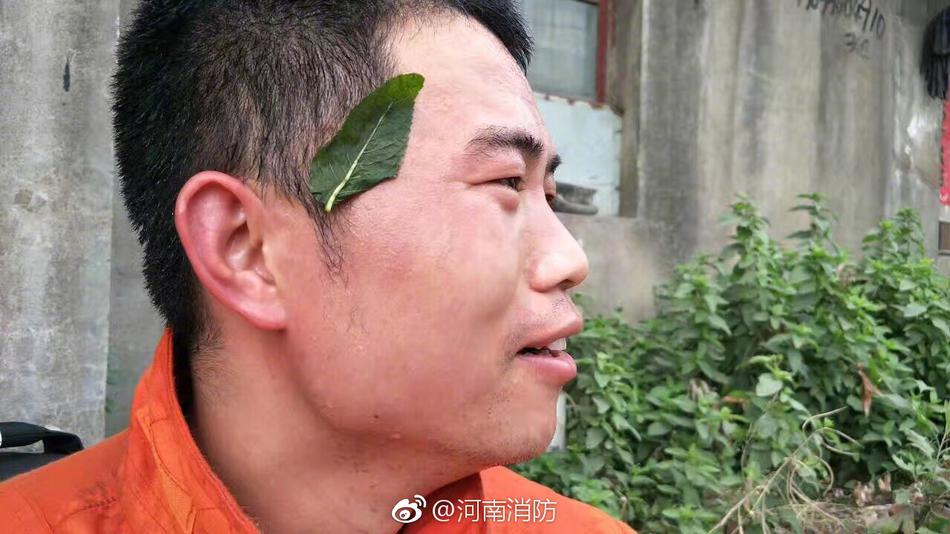 高清无码色