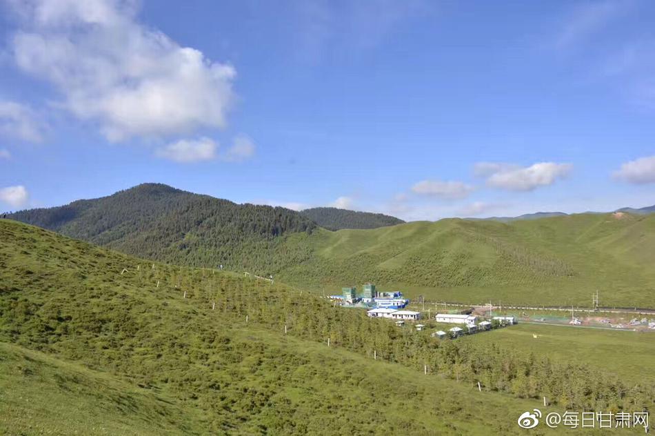 寡妇大J8又粗又大