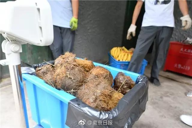 有成年人黄色免费网站吗