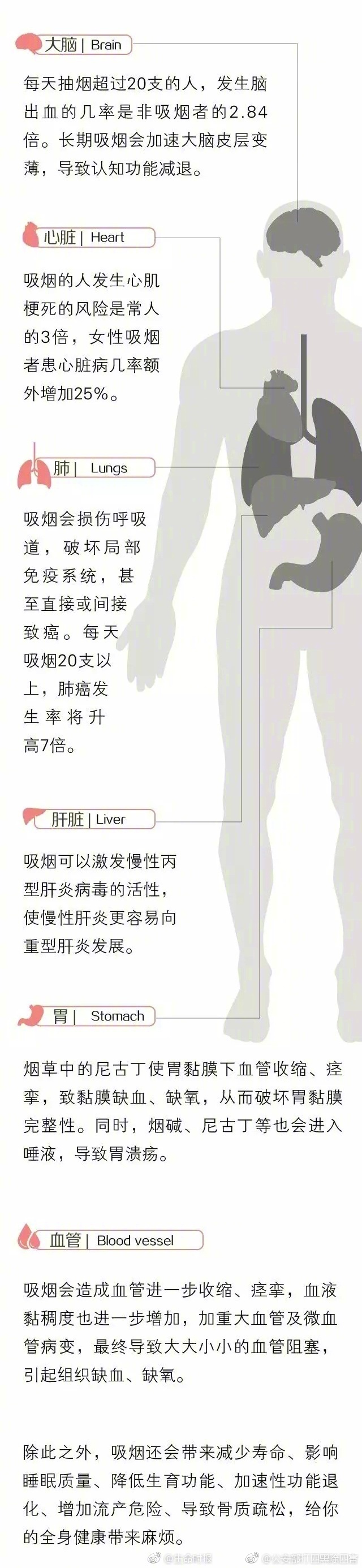 精品麻豆
