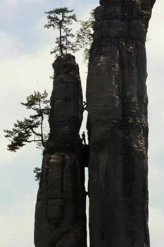 日本夫妻