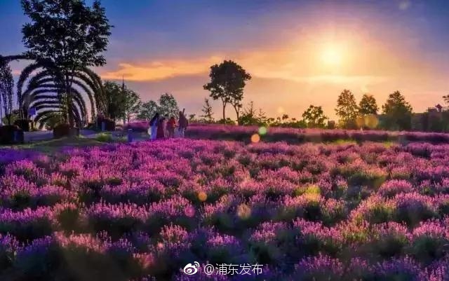 同性男男黄Gary免费