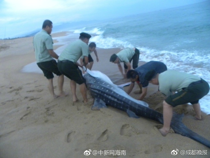 女生长得漂亮是怎样的