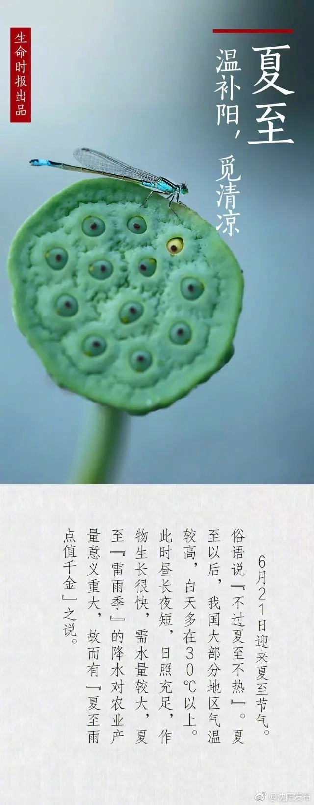 女女女女女女BBBBBB毛