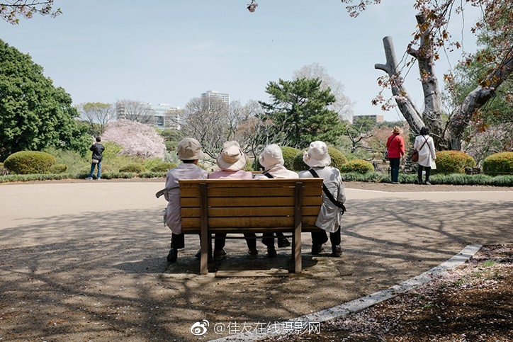 日韩无码人妻系列