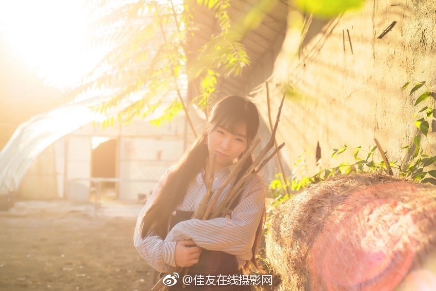 免费的毛片三级黄片中文字幕的