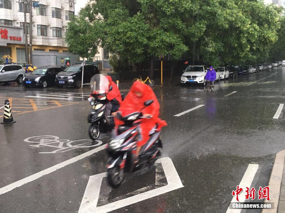 中山琴葉