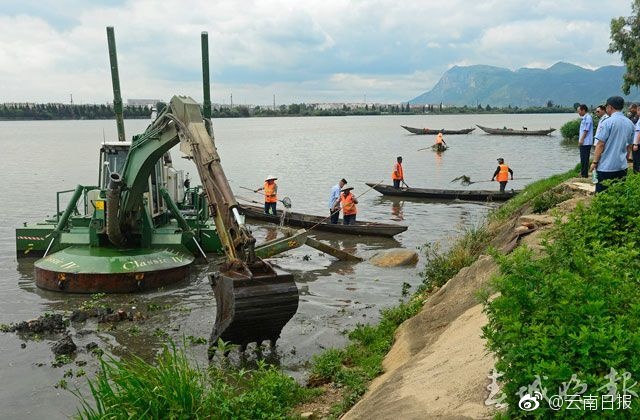 动漫美女被 到爽 流豆浆