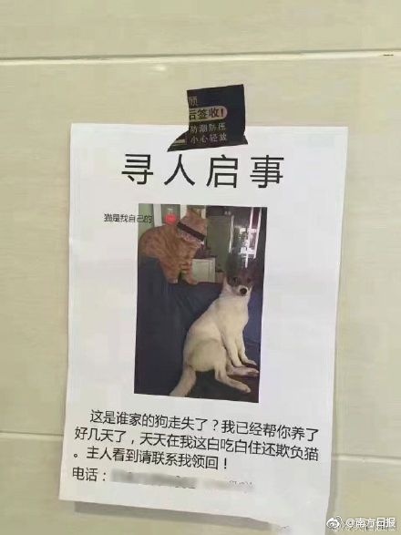 亚洲Gay帅老头456老年人