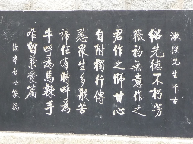 成人 高清 在线