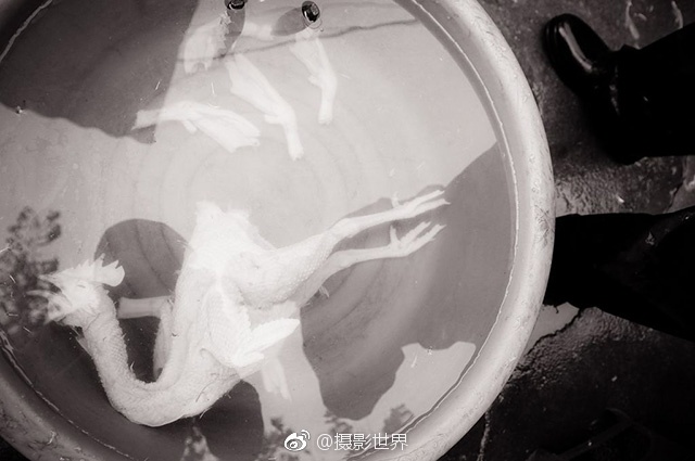 美女老师被操B