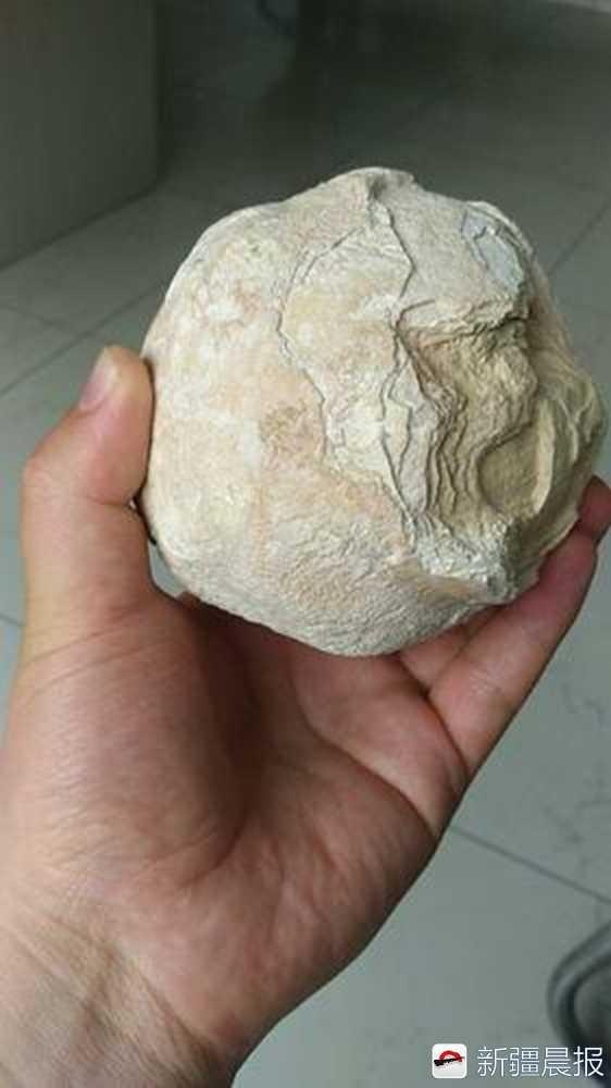 十大黄色软件