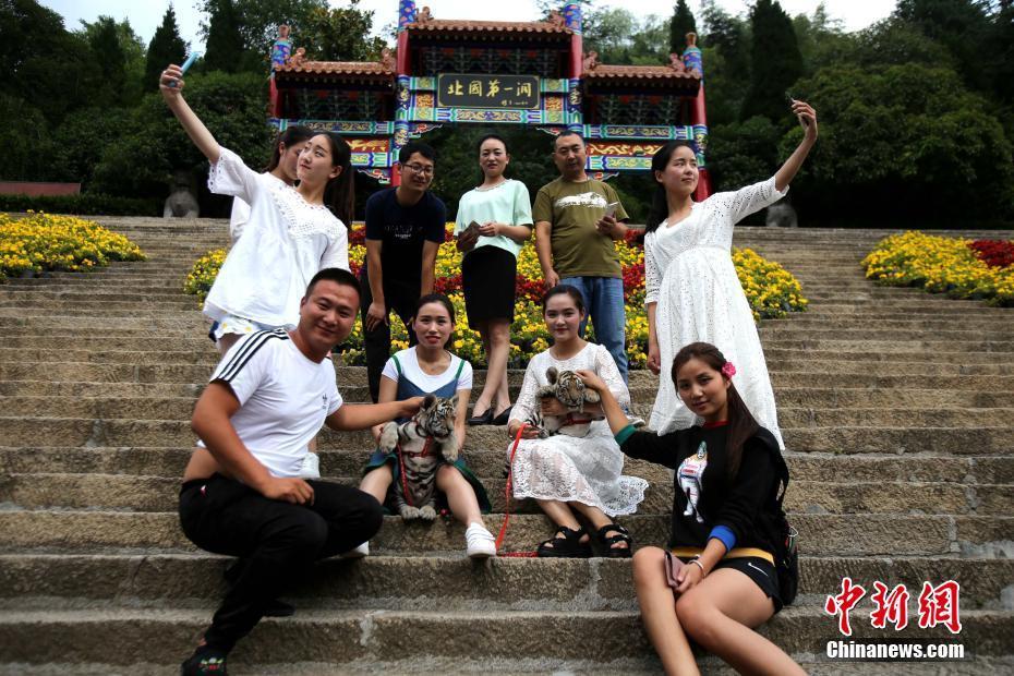 国产一级婬片A片久久久花开诺