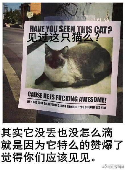 天天日天天舔