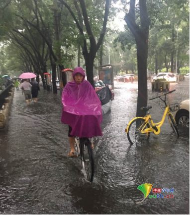 美女扒精光秘 图片
