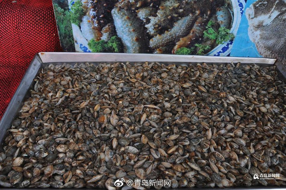 操胖女人，