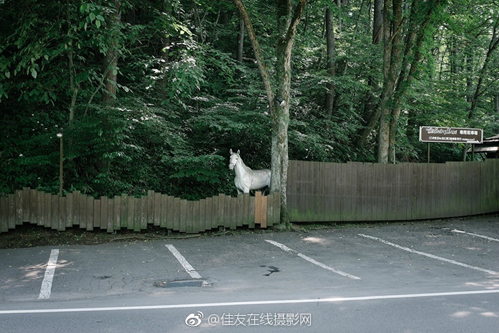 並木優
