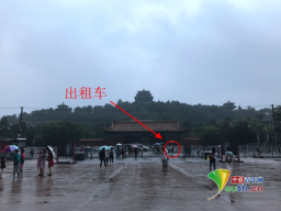 免费黄色网站网址