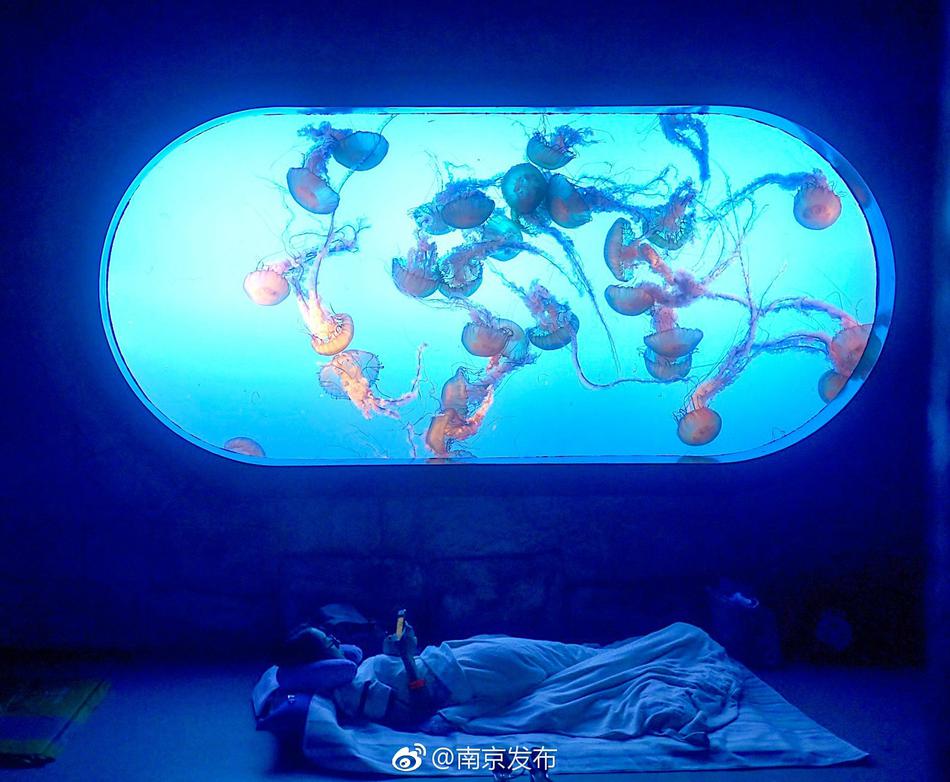 国产偷窥偷拍