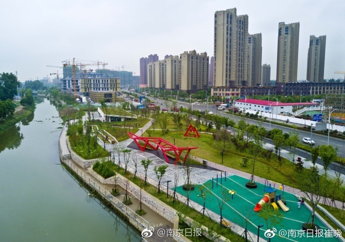 小母狗