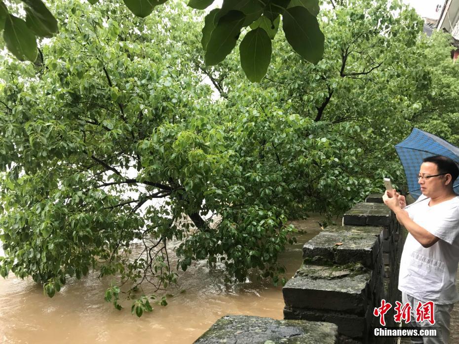 免费 做爱 电影