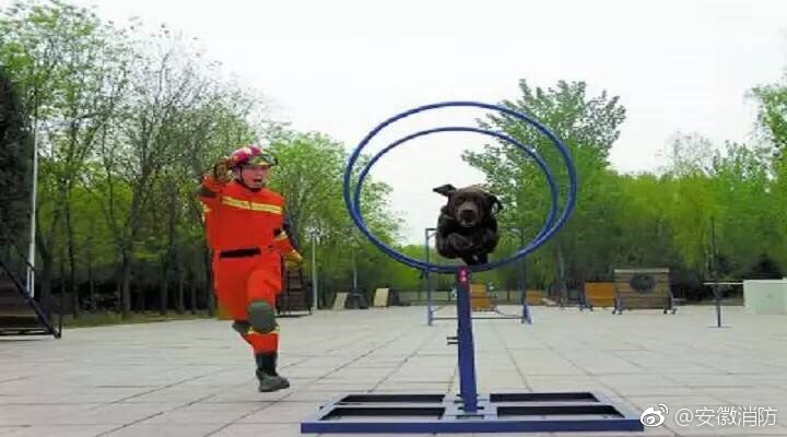 欧美WWW