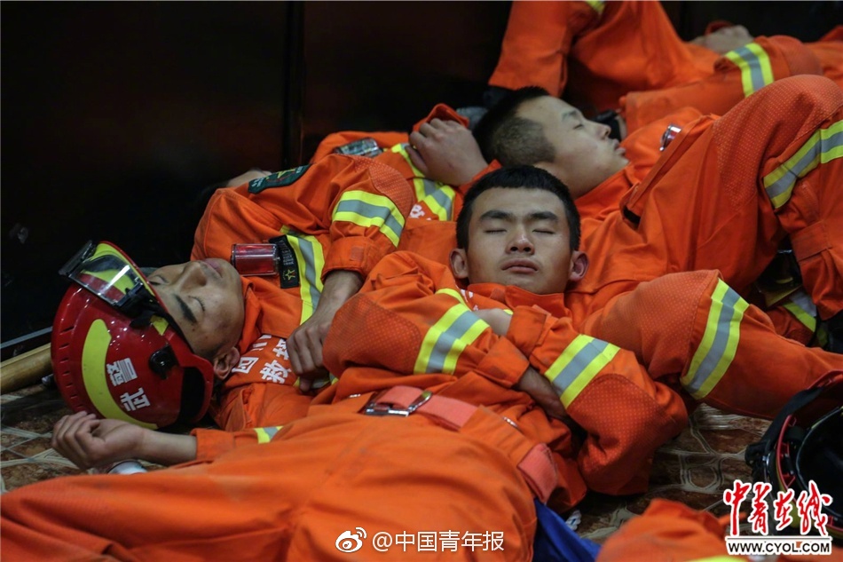 黄网站视频在线观看免费