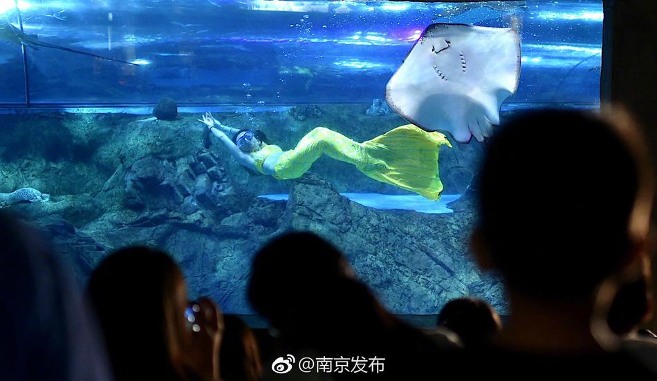 梦幻绑定失踪人口_梦幻失踪人口(2)
