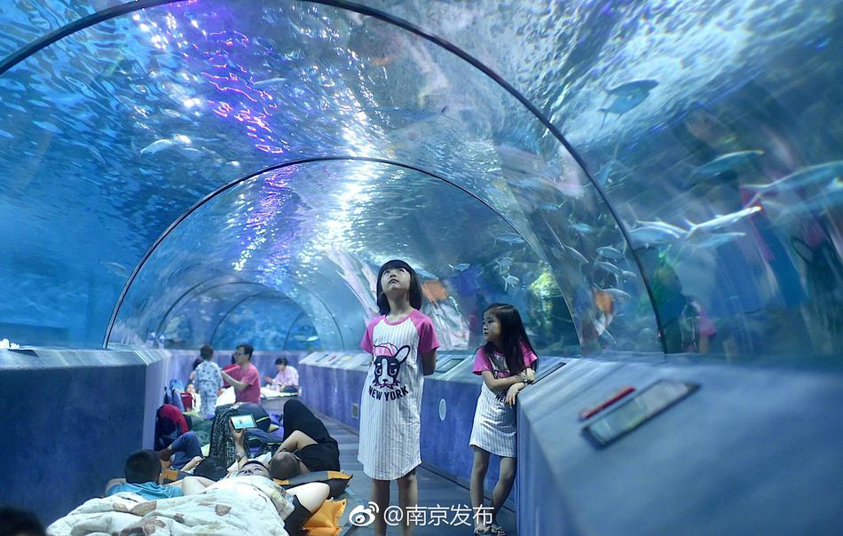 成人 影视 下载