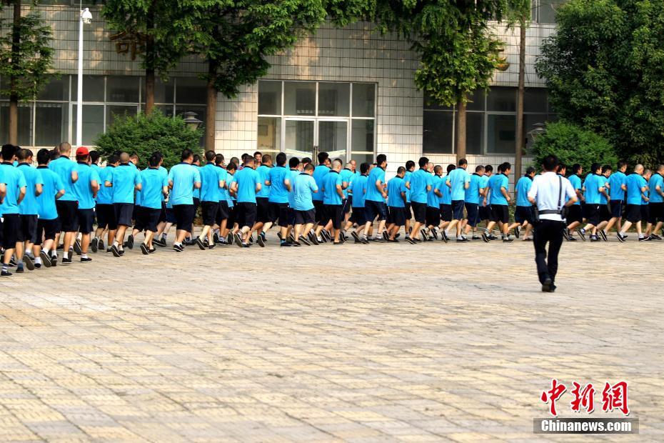 黄色视频免费网站大全