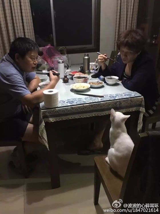 女性脱 给我揉 游戏