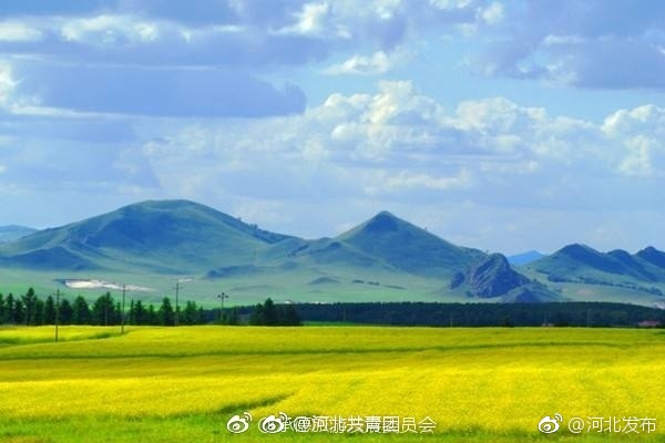 性成熟Hdxx
