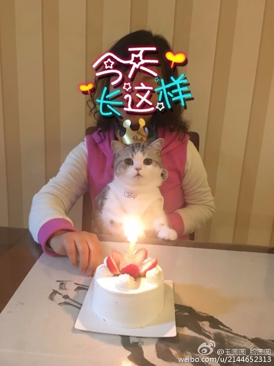 电车痴汉乳揉みま痴汉