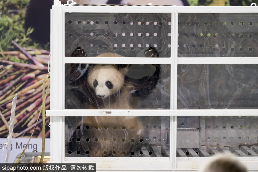 蜜桃在线