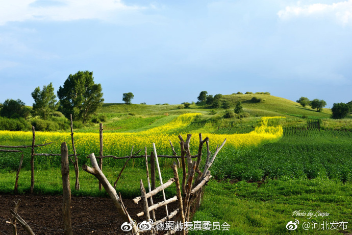 亚洲精品久久久久玩吗