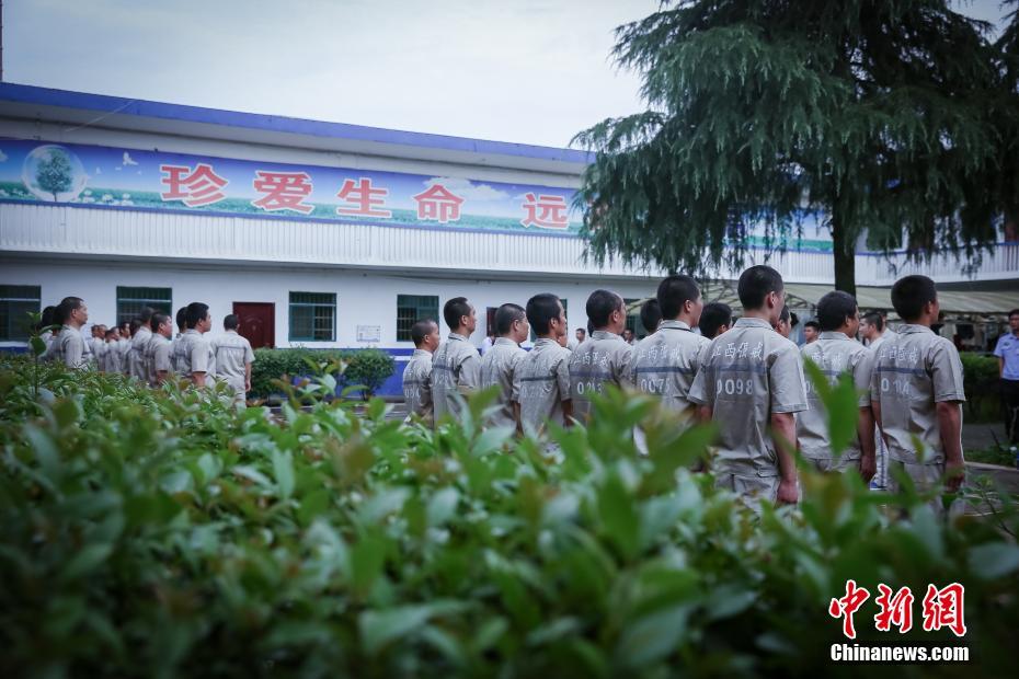 免费观看欧美日韩三级片网站