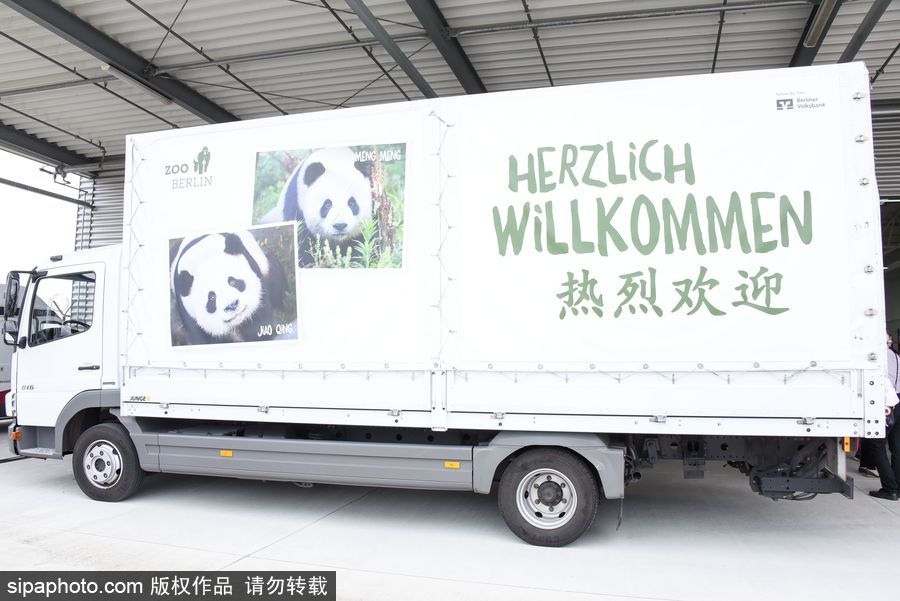 H无码视频