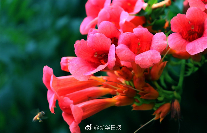 老熟女亂伦一区二区三区