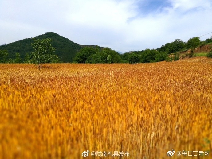 麻花天美星空mv免费播放