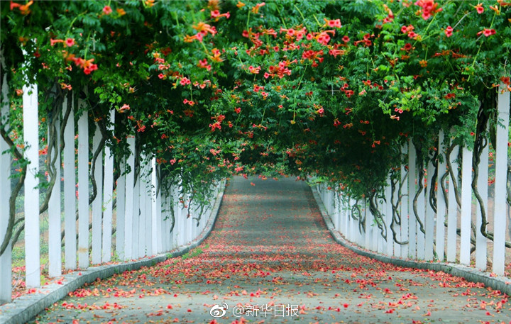在线不卡AV