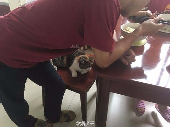 四川少妇性做爰XXXⅩ