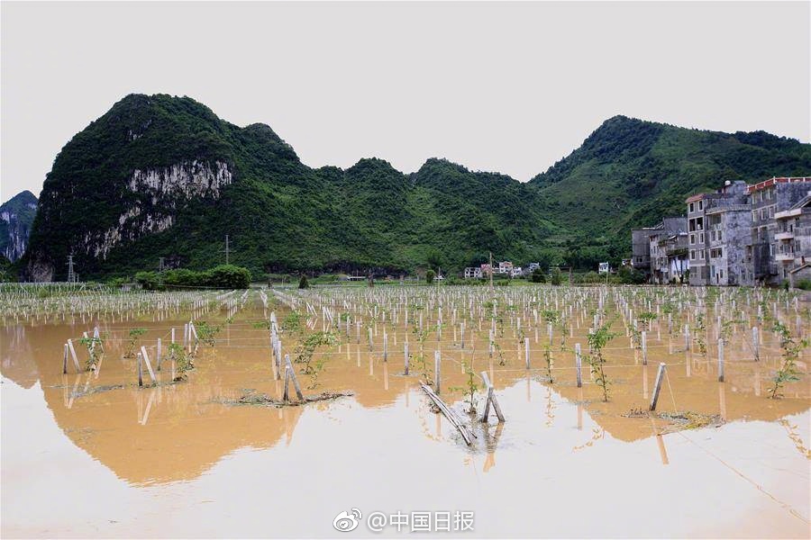 国产偷窥偷拍