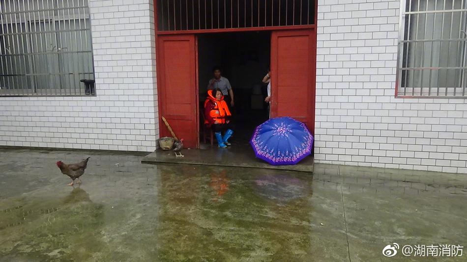 成年丰满熟妇午夜免费